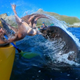 Illustration for article titled Seal Slaps The Bejesus Out Of Kayaker With Live Octopus
